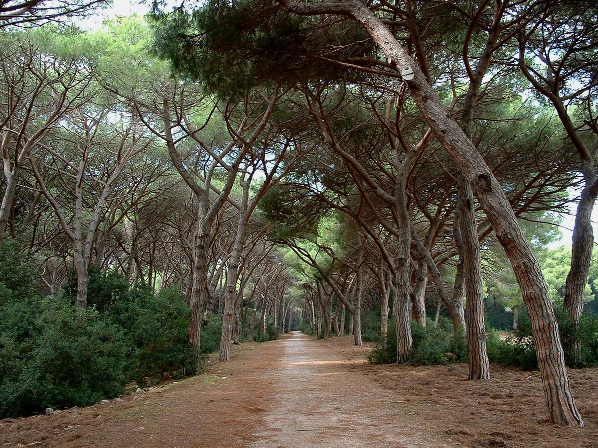 Mini hotel Orbetello Dış mekan fotoğraf